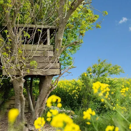 Haus Im Felde Mit 5 Wohnungen *
